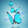 melscboutique
